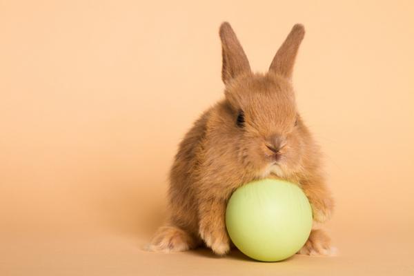 Beste leker for kaniner - kaninballer