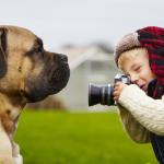 1631226463 585 Hvordan fotografere hunder