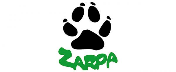 Hvor du skal adoptere en hund i Zaragoza - ZARPA.  Zaragoza Animal Protection Association