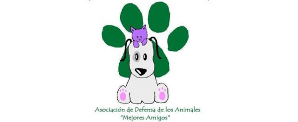 Hvor du skal adoptere en hund i Zaragoza - ADAMA Association for the Defense of Animals 