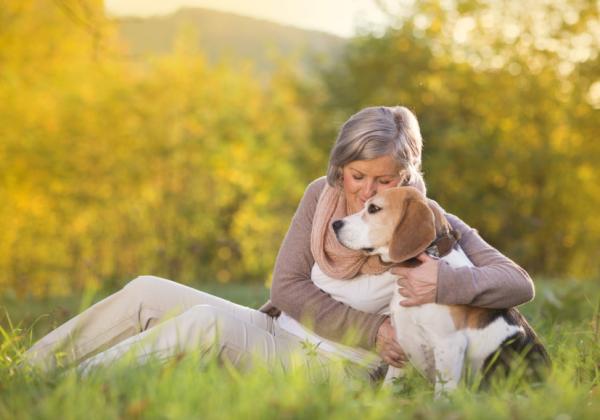 Fôring for hunder med Leishmaniasis - Andre tips om fôring av hunder med Leishmania