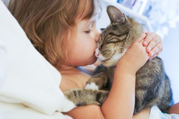 10 grunner til å adoptere en katt - 5. Katter er bra for helsen din