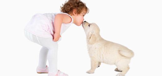 Unngå sjalusi mellom barn og hunder - Barnets vekst med hunden