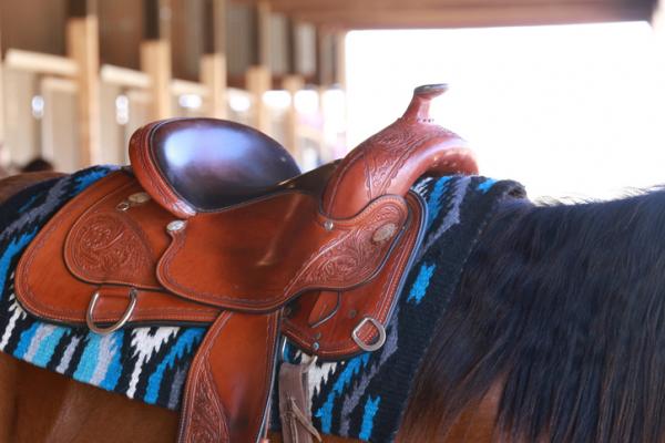 Typer saler for hester - Cowboy og cowboy sal for hester
