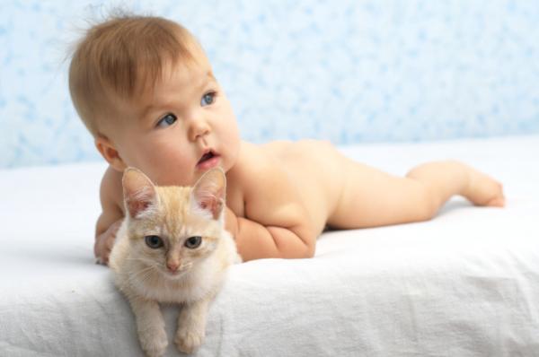 Fordeler med å ha en katt for barn - helsemessige fordeler