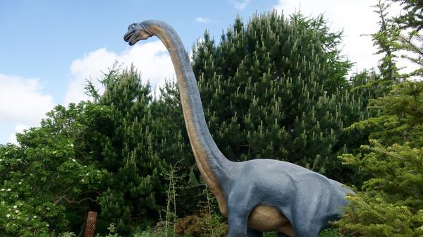 Long Neck Dinosaurs - Egenskaper og eksempler - Brachiosaurus
