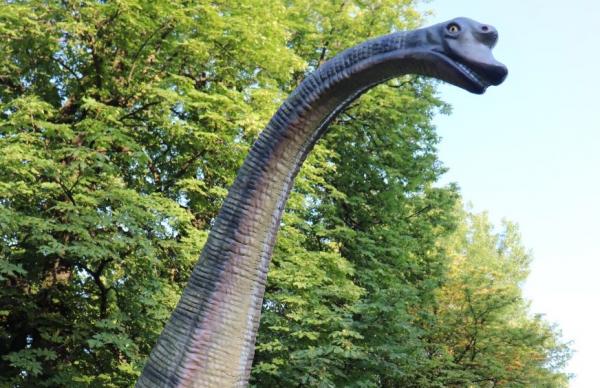 Long Neck Dinosaurs - Egenskaper og eksempler - Ultrasaurus