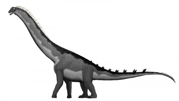 Long Neck Dinosaurs - Egenskaper og eksempler - Alamosaurus