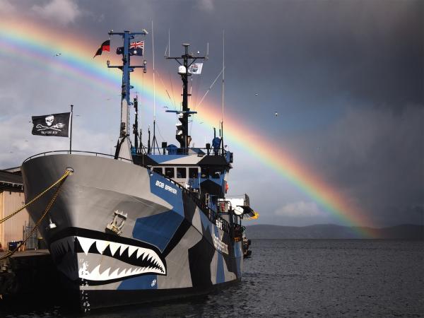 Hvordan bli frivillig som Sea Shepherd?  - Vær en sjøfrivillig