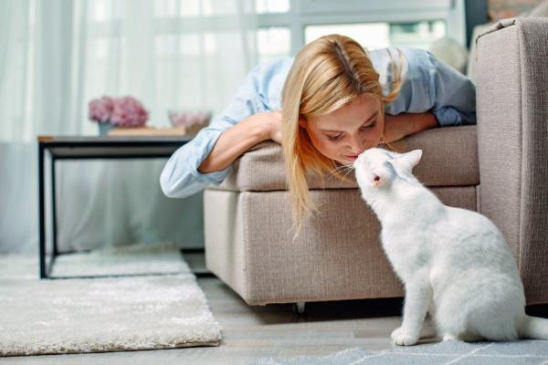 7 ting katten din vet om deg