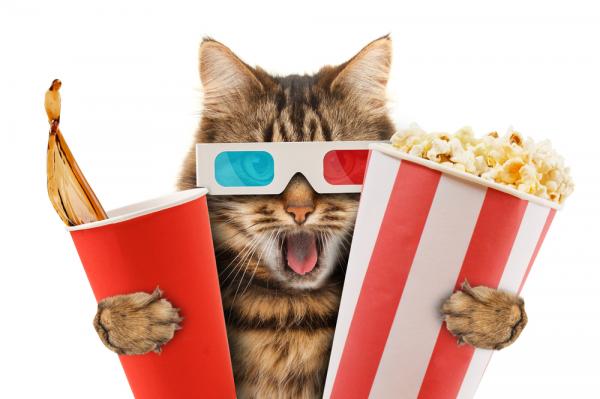 De 10 mest kjente kattene pa kino husker du dem