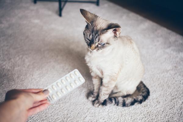 Diklofenak for katter dosering bruk og bivirkninger