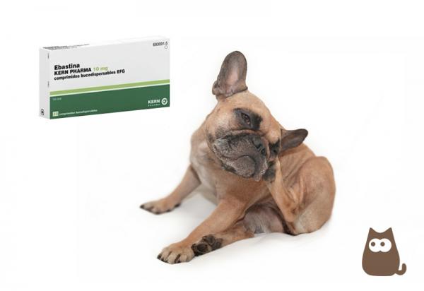 Ebastine for Dogs Dosering og bruk