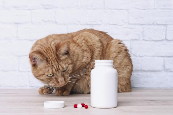 Febantel for katter Dosering bruk og bivirkninger