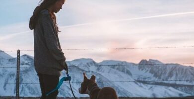 Hunden min vil ikke la noen komme i naerheten av