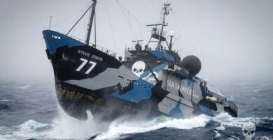 Hvordan bli frivillig som Sea Shepherd