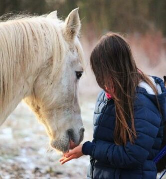 Hvordan fa en hest til a stole pa meg