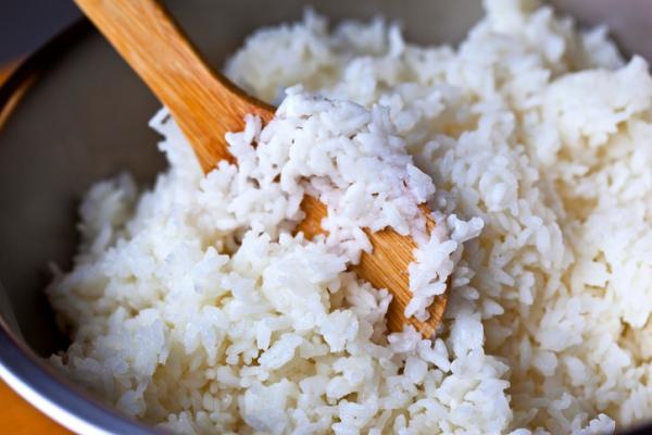 Hvordan tilberede ris til hunder