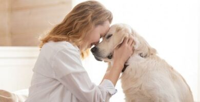 Hvordan vet hunden min at jeg elsker ham