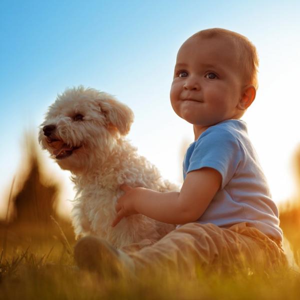 Hvorfor tar hunder vare pa babyer