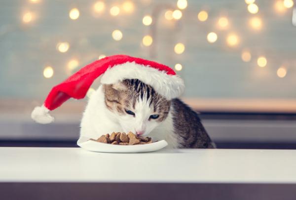 Juleoppskrifter for katter