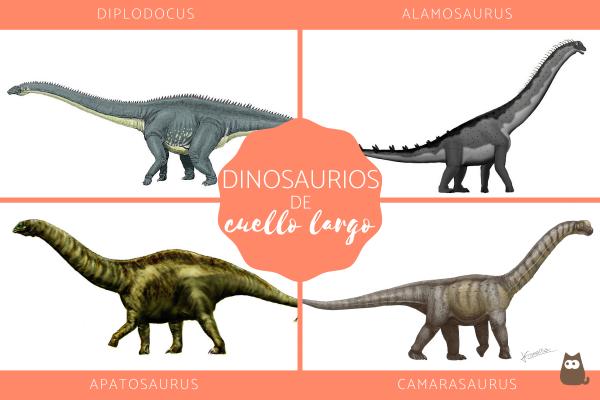 Long Neck Dinosaurs Egenskaper og eksempler