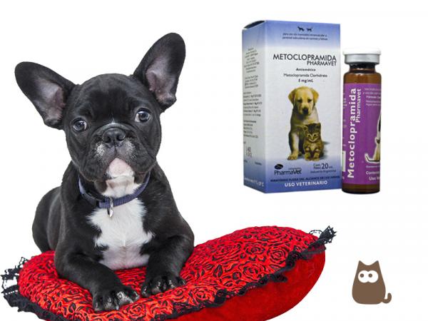 Metoklopramid for hunder dosering bruk og bivirkninger