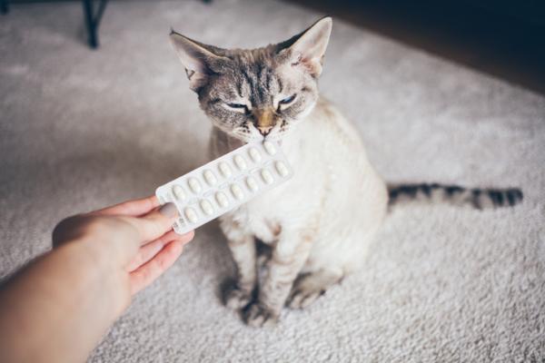 Minipresse for katter bruk doser og bivirkninger
