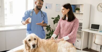 Omeprazol for hunder dosering bruk og bivirkninger