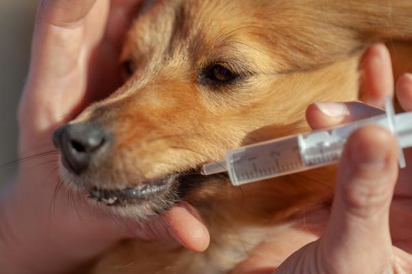 Polaramin for hunder dosering og bruk