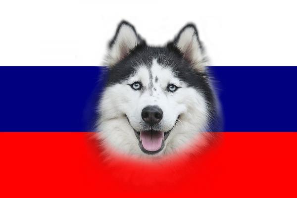 Russiske hunderaser