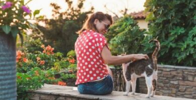 Tips for a adoptere en villkommen katt