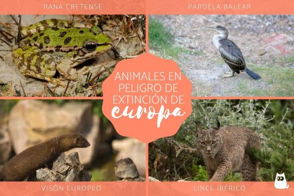 Truede dyr i Europa
