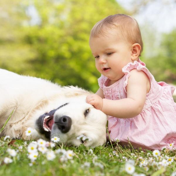 Unnga sjalusi mellom barn og hunder