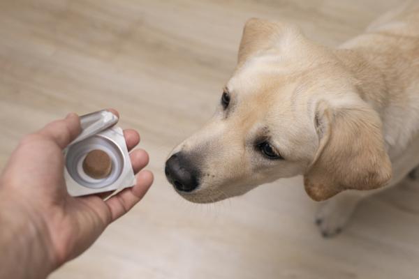Vitaminer for hunder dosering typer og bruksomrader
