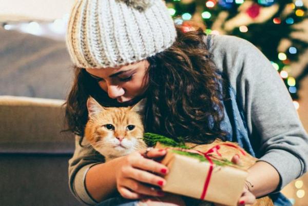 10 veldig originale julegaver til katter