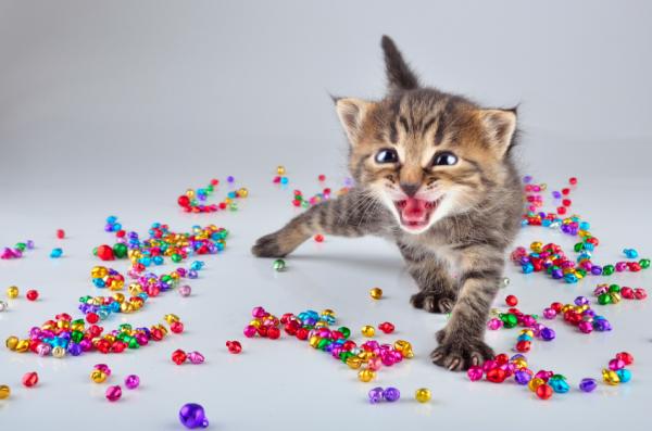 5 ting katter hater om mennesker - 3. Skru ned volumet!