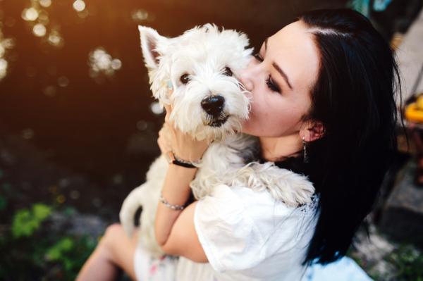 10 ting hunder elsker - 1. Få oppmerksomheten din