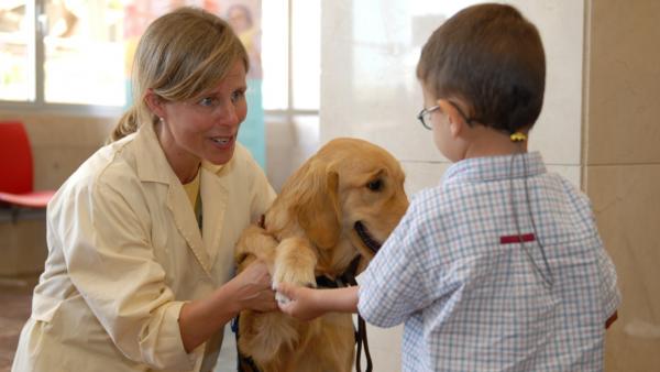 Hundeterapi for autistiske barn - Hvorfor er hundeterapi for autistiske barn indikert?