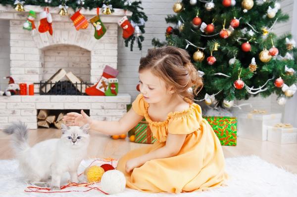 10 veldig originale julegaver til katter - 10. Den viktigste gaven er kjærlighet