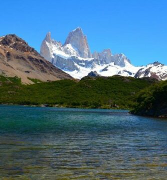 Fauna av argentinsk Patagonia