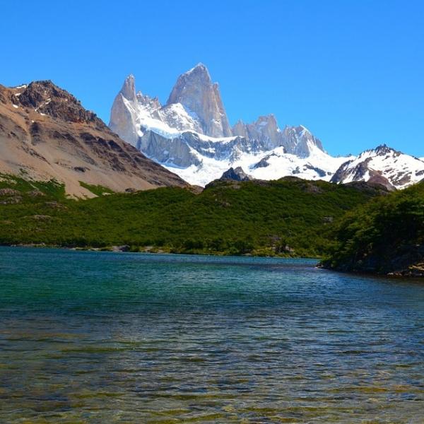 Fauna av argentinsk Patagonia