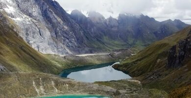 Faunaen i den peruanske jungelen