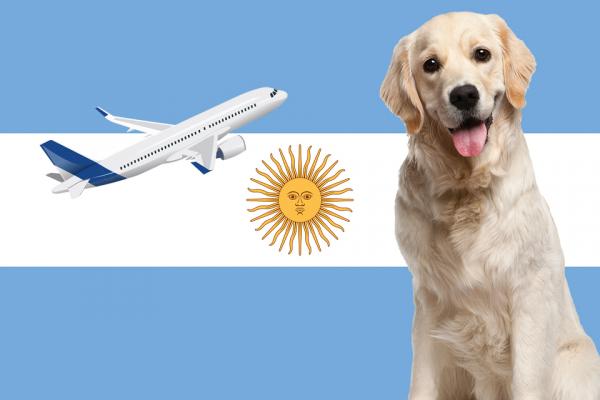 Indikasjoner for reiser med hund til Argentina