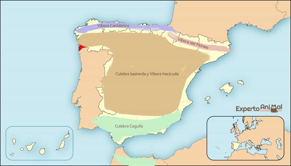 5 arter av giftige slanger i Spania - Slanger og huggormer i Spania - Kart
