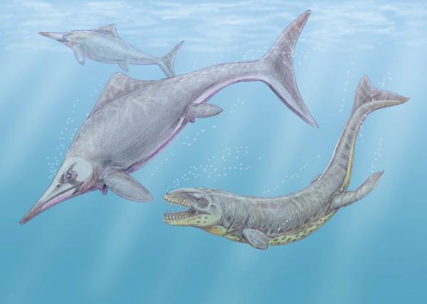 Typer marine dinosaurer - navn og bilder - Ichthyosaurs
