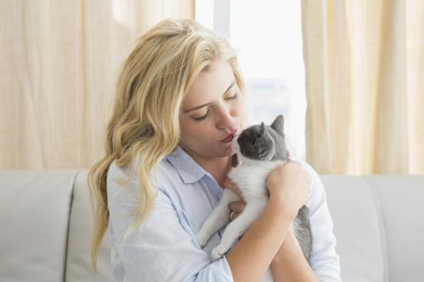 Hvorfor elsker katter en person mer