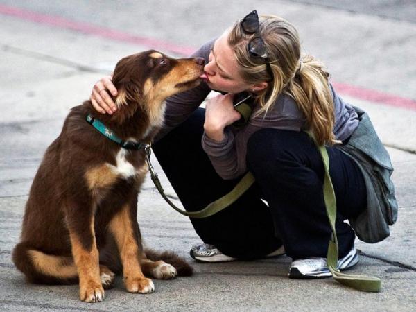 Topp 10 kjendiser som har adoptert hunder - 1. Amanda Seyfried