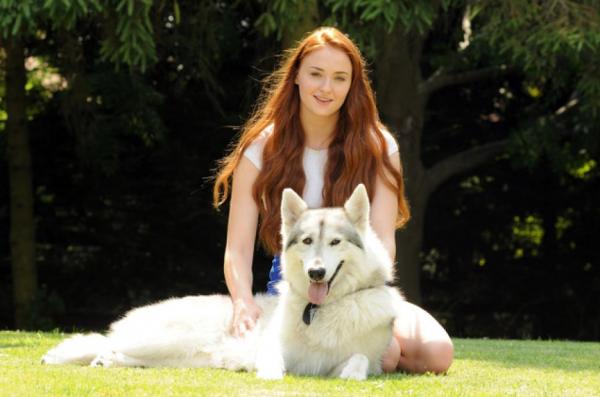 Topp 10 kjendiser som har adoptert hunder - 2. Sophie Turner