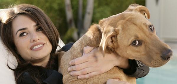 Topp 10 kjendiser som har adoptert hunder - 9. Penelope Cruz